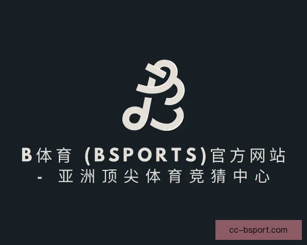 关于b体育
